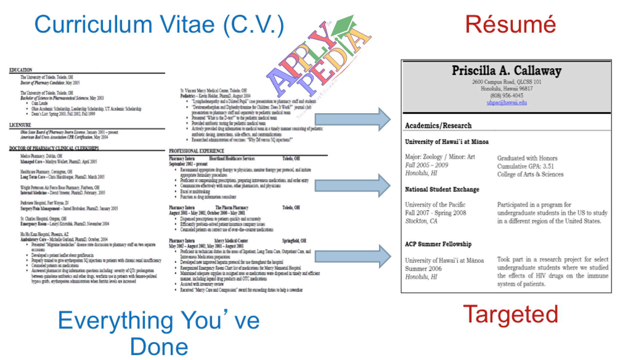 Curriculum Vitae یا CV سی.وی